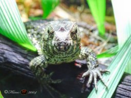 Tiergarten Schönbrunn am 12.03.2025